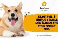 Beautiful & Unique Female Dog Names for Your Sweet Girl