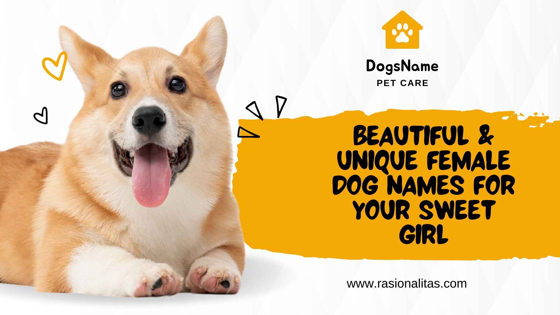 Beautiful & Unique Female Dog Names for Your Sweet Girl