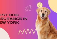 Best Dog Insurance in New York