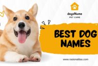 Best Dog Names
