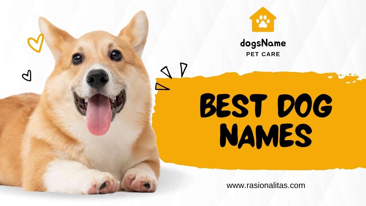 Best Dog Names