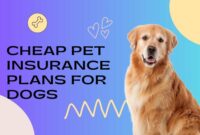 Cheap Pet Insurance Plans for Dogs in 2025