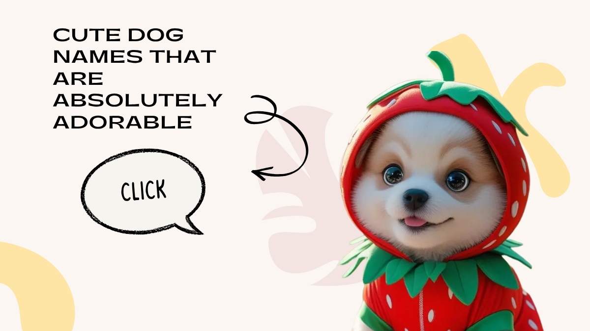 Cute Dog Names That Are Absolutely Adorable