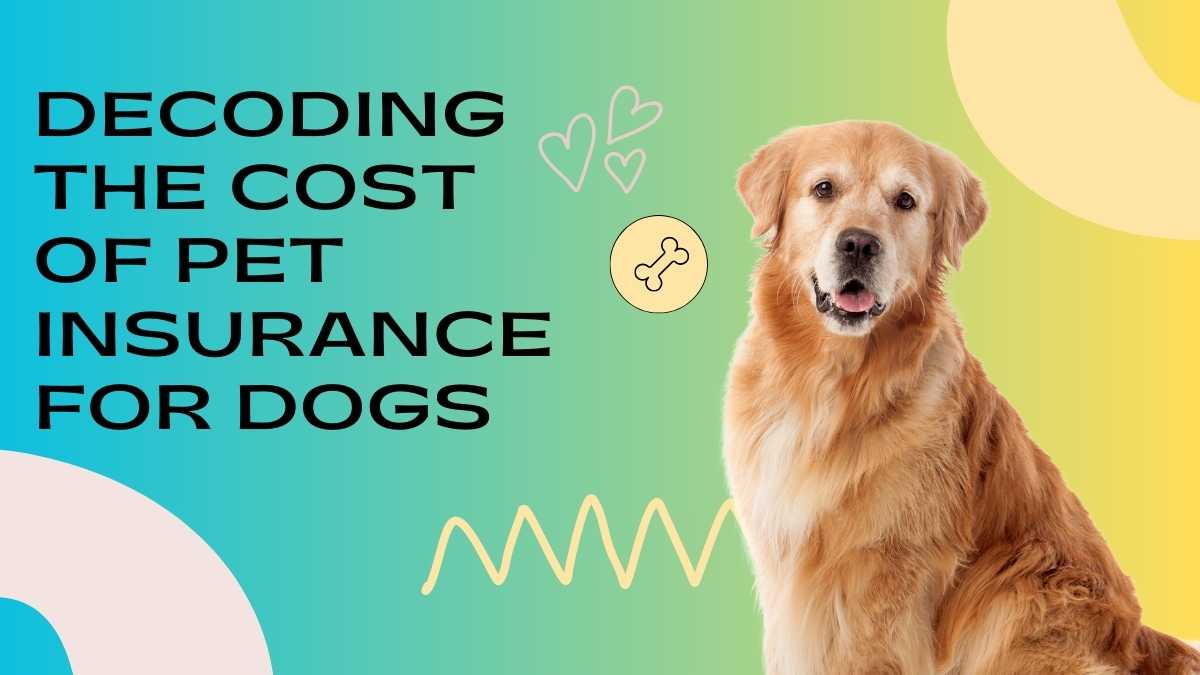 Decoding the Cost of Pet Insurance for Dogs