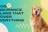 Dog Insurance Plans That Cover Everything