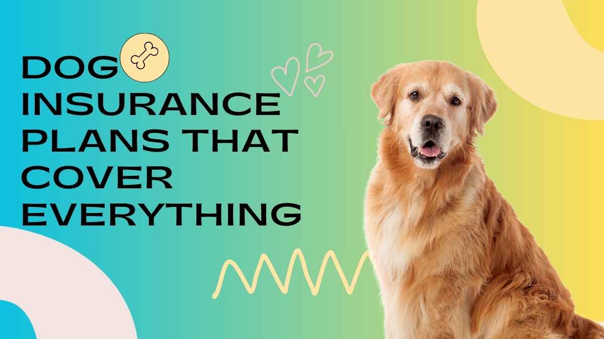 Dog Insurance Plans That Cover Everything