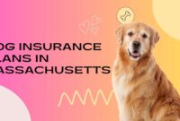 Dog Insurance Plans in Massachusetts