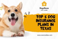 Dog Insurance in Texas