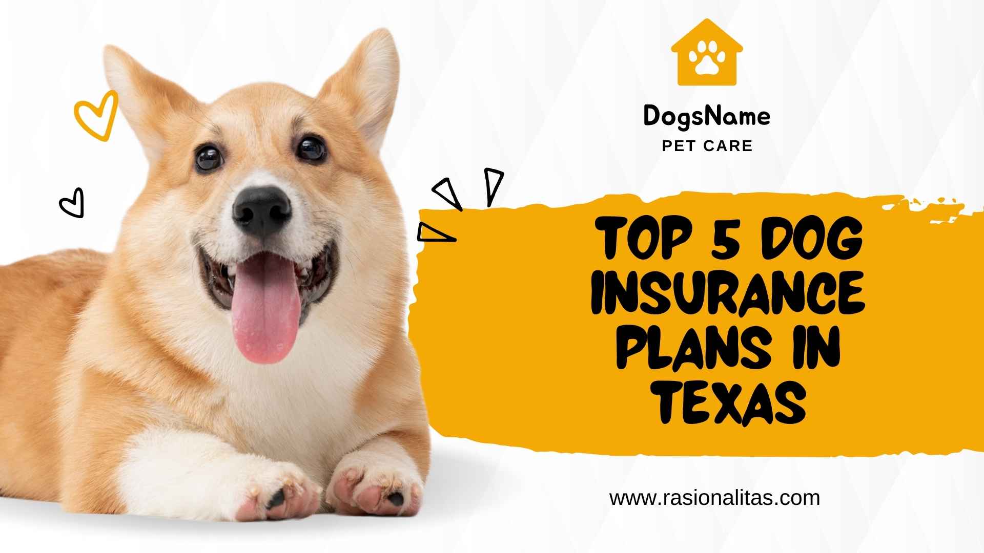 Dog Insurance in Texas