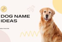 Dog Name Ideas