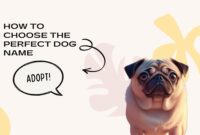 How to Choose the Perfect Dog Name