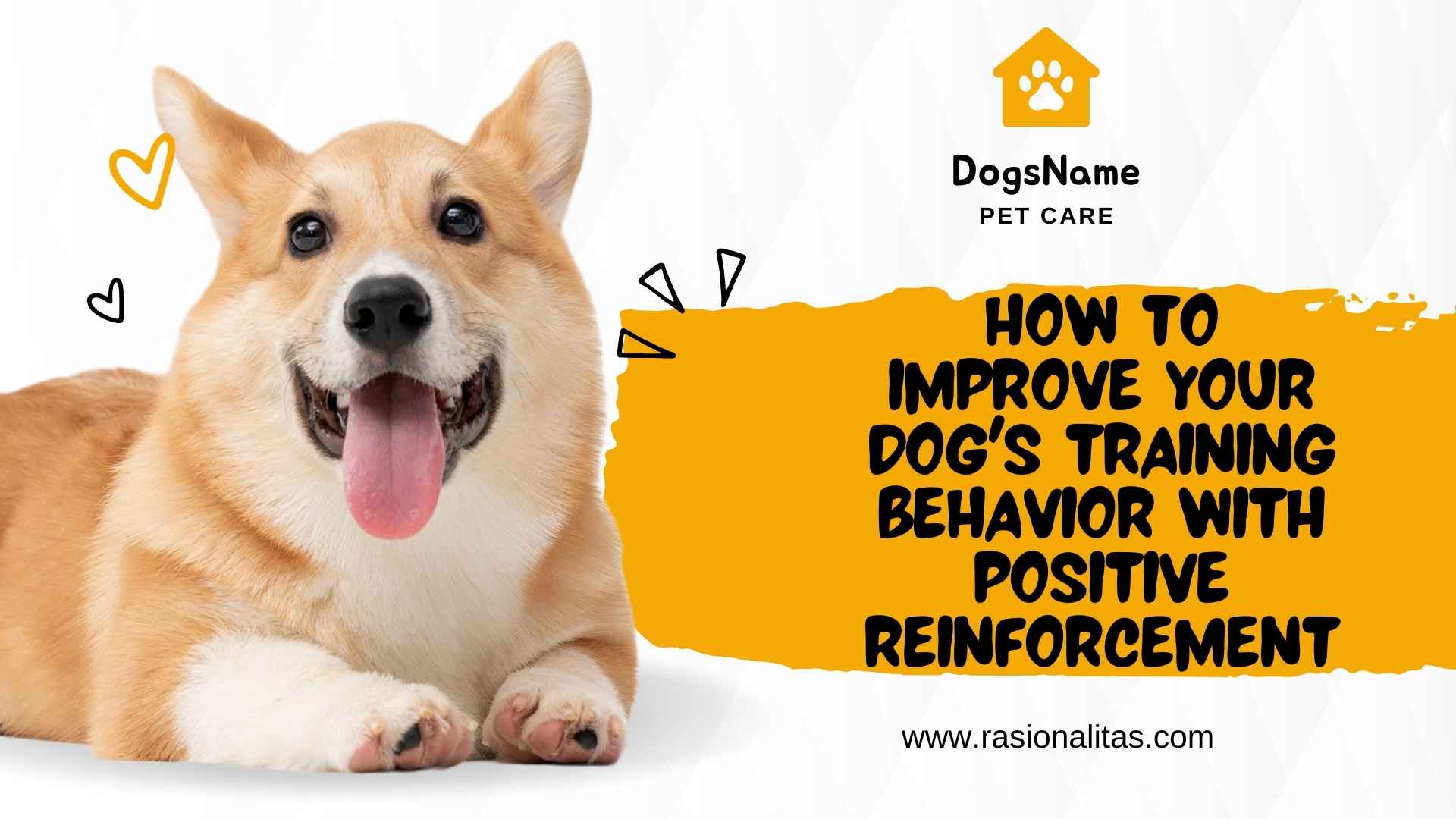 How to Improve Your Dog's Training Behavior with Positive Reinforcement