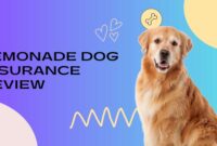 Lemonade Dog Insurance Review