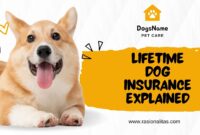 Lifetime Dog Insurance Explained