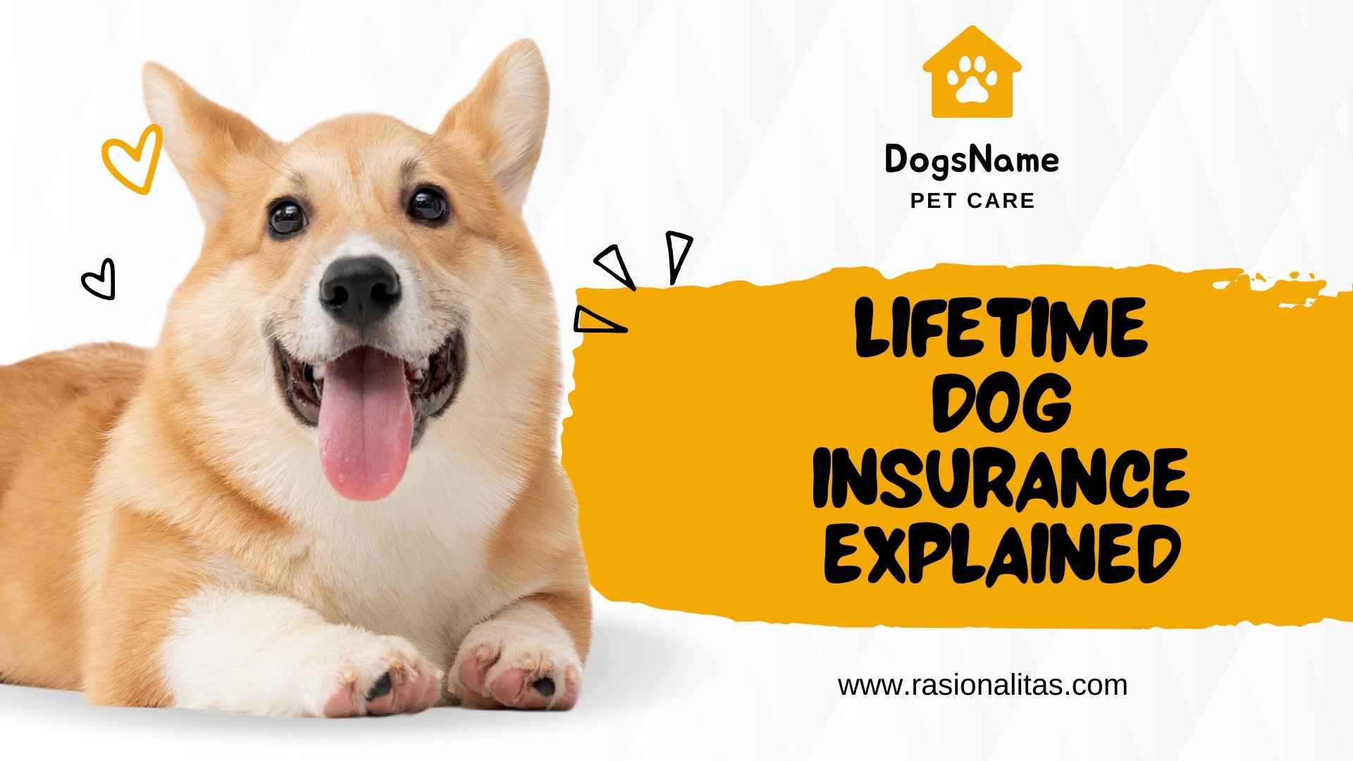 Lifetime Dog Insurance Explained
