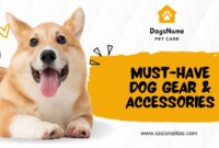 Must-Have Dog Gear & Accessories