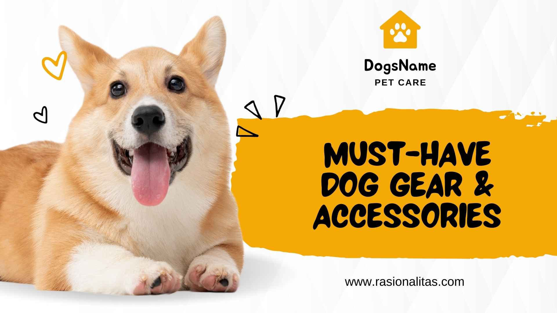 Must-Have Dog Gear & Accessories