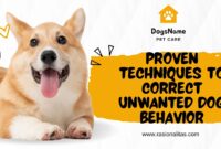 Proven Techniques to Correct Unwanted Dog Behavior