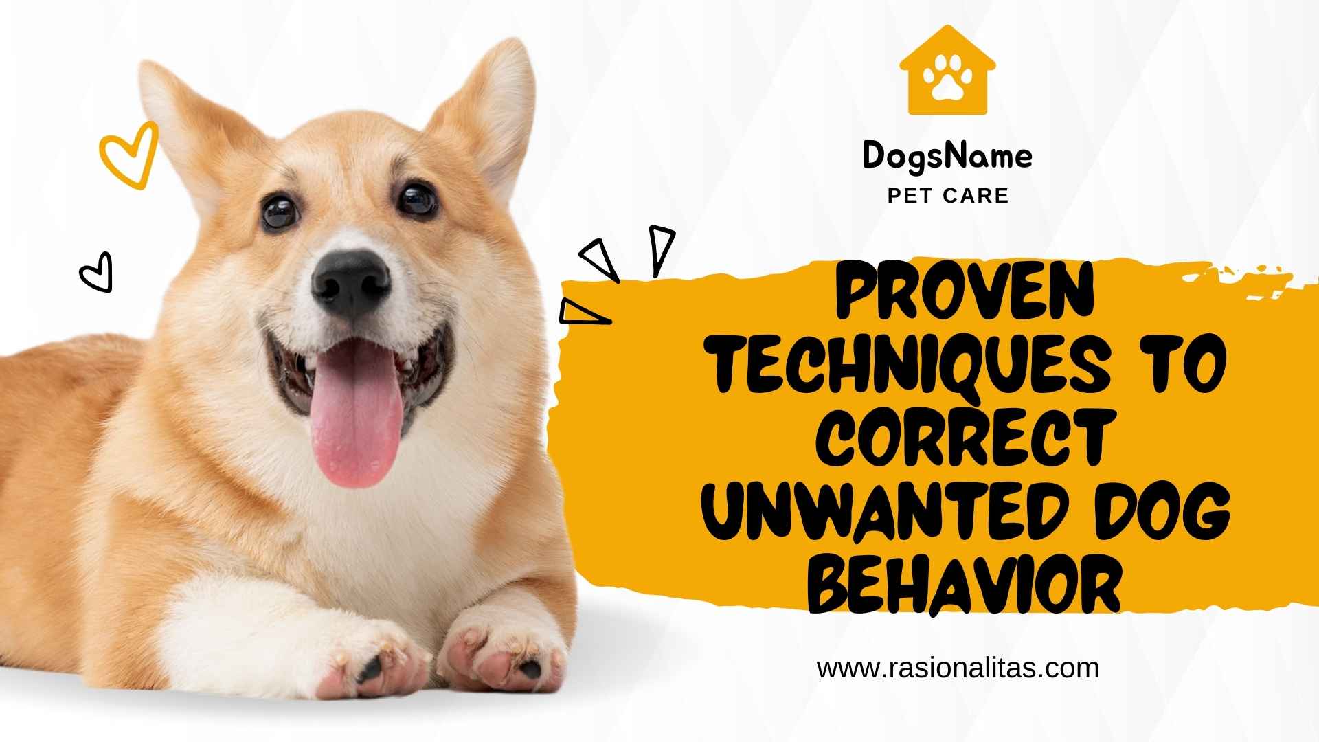 Proven Techniques to Correct Unwanted Dog Behavior