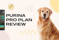 Purina Pro Plan Review