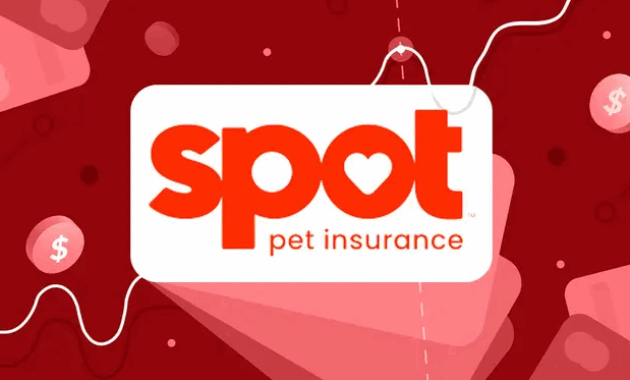 Spot Pet Insurance