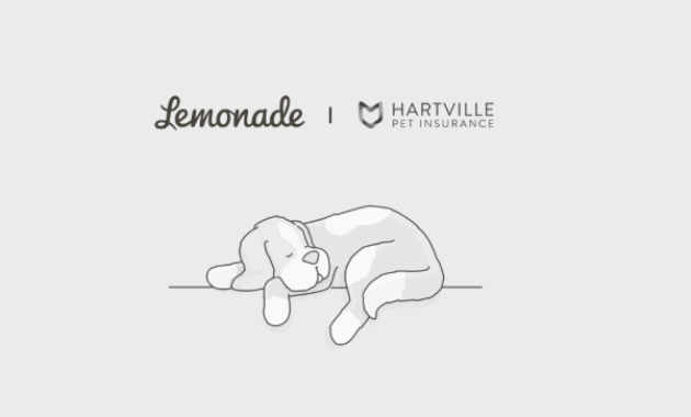 Lemonade