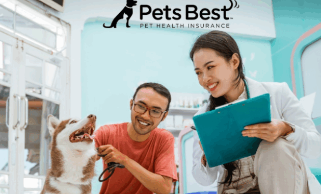 Pets Best