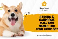 Strong & Handsome Male Dog Names for Your Good Boy