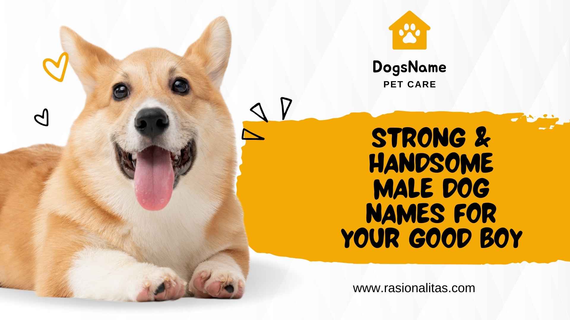 Strong & Handsome Male Dog Names for Your Good Boy