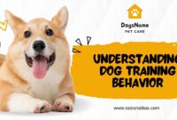 Understanding Dog Training Behavior