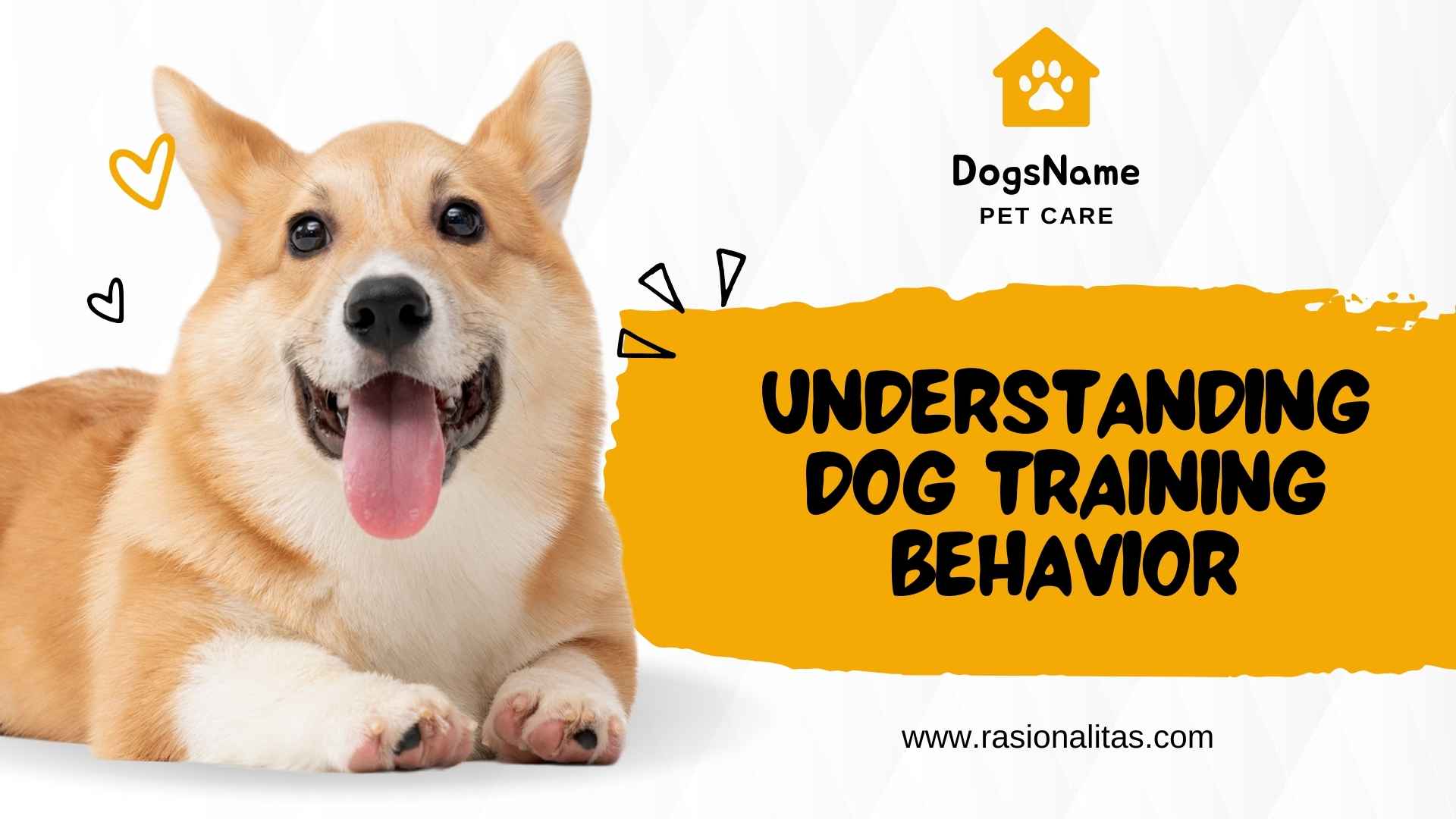 Understanding Dog Training Behavior